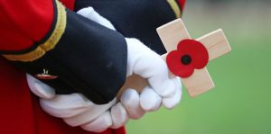 Poppies and the Great War